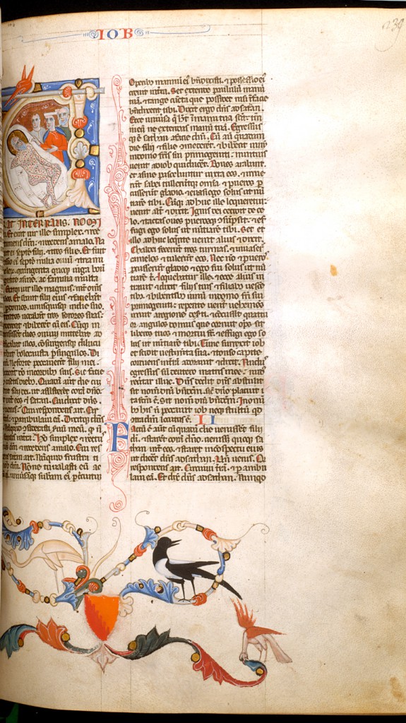Leaf from Bentivoglio Bible