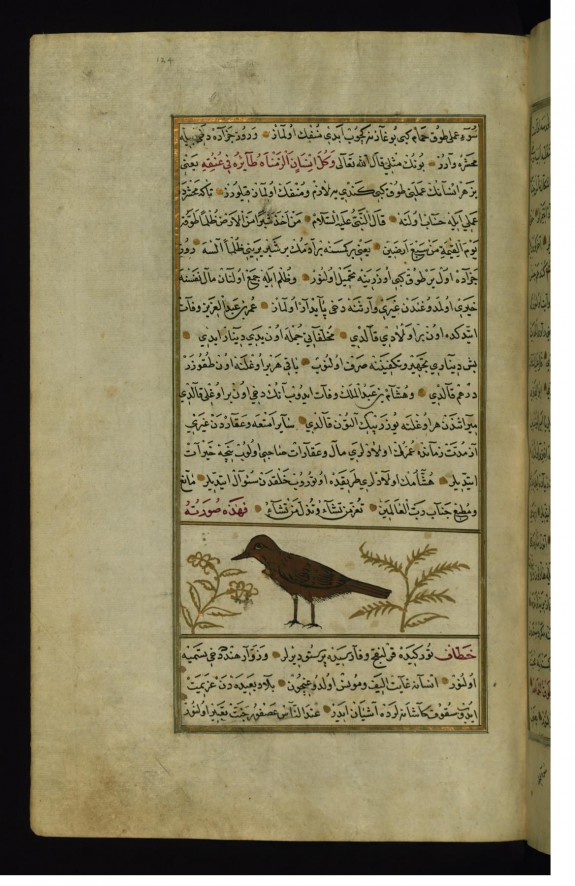 A Swift