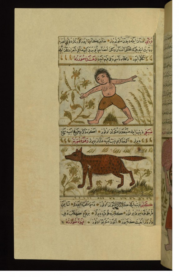 The Creatures Dabbabi (Half-man, Half-bear) and Dabaghi (Half-wolf, Half-hyena)