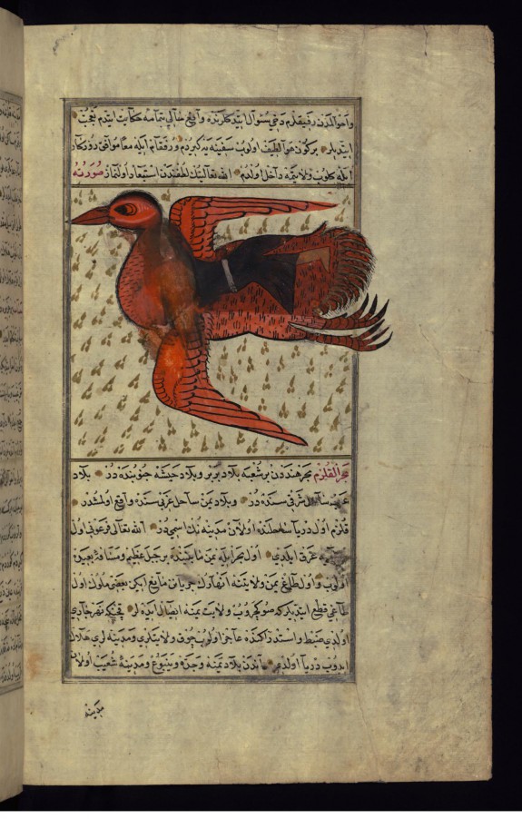 A Huge Bird Carries a Man on its Back