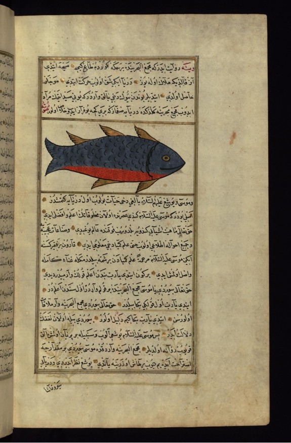 A Fish from the Vaynah (Vinah?) Seas
