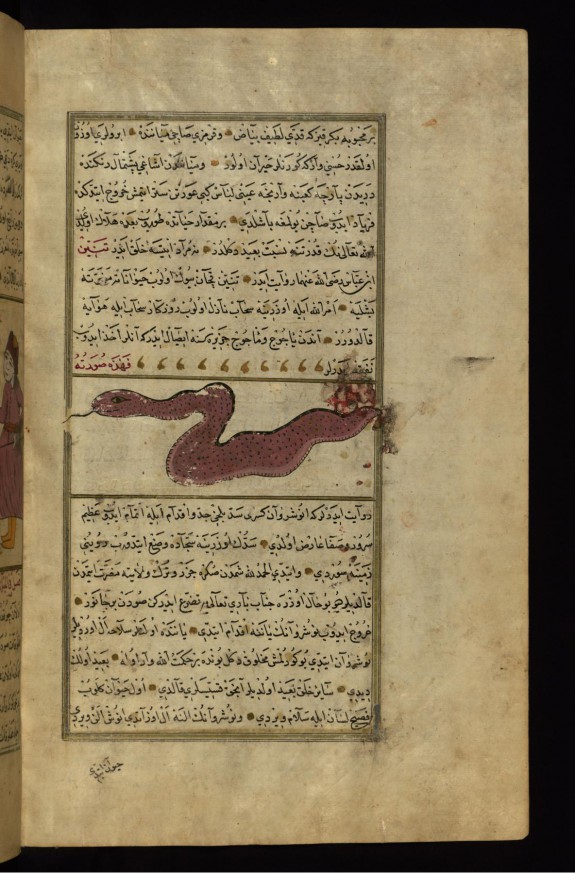 A Dragon of the Caspian Sea