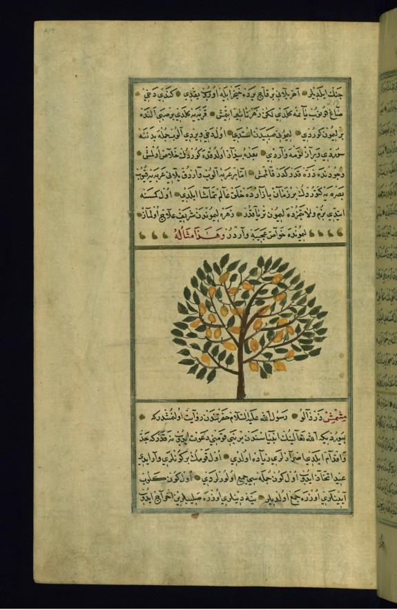 A Lemon Tree