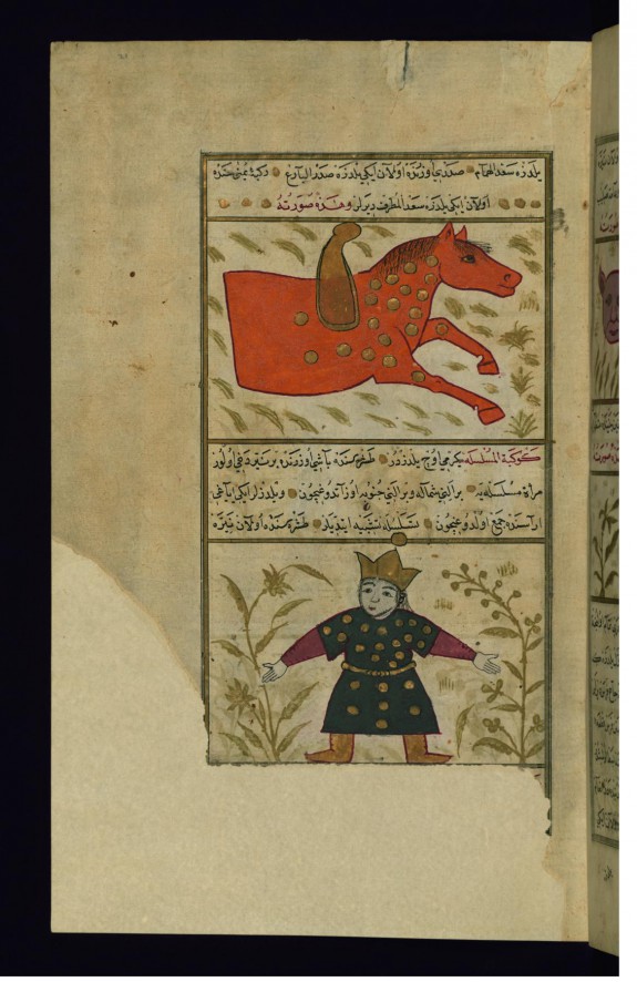 Pegasus and Andromeda