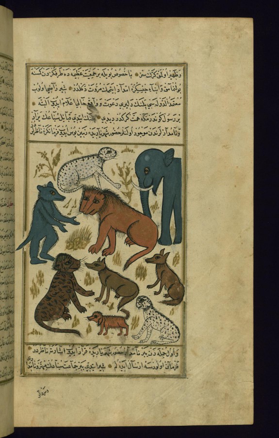 The Lion King Surrounded by his Subjects