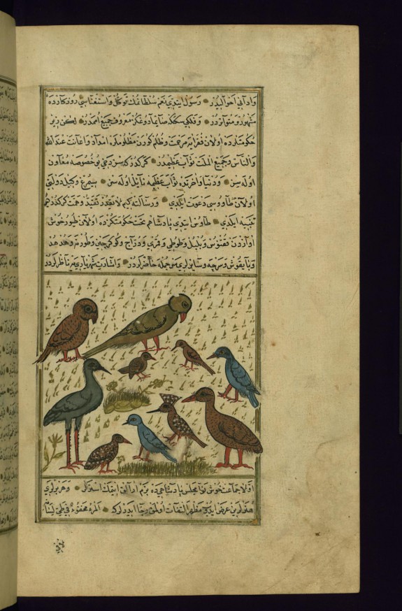 A Meeting of the Birds