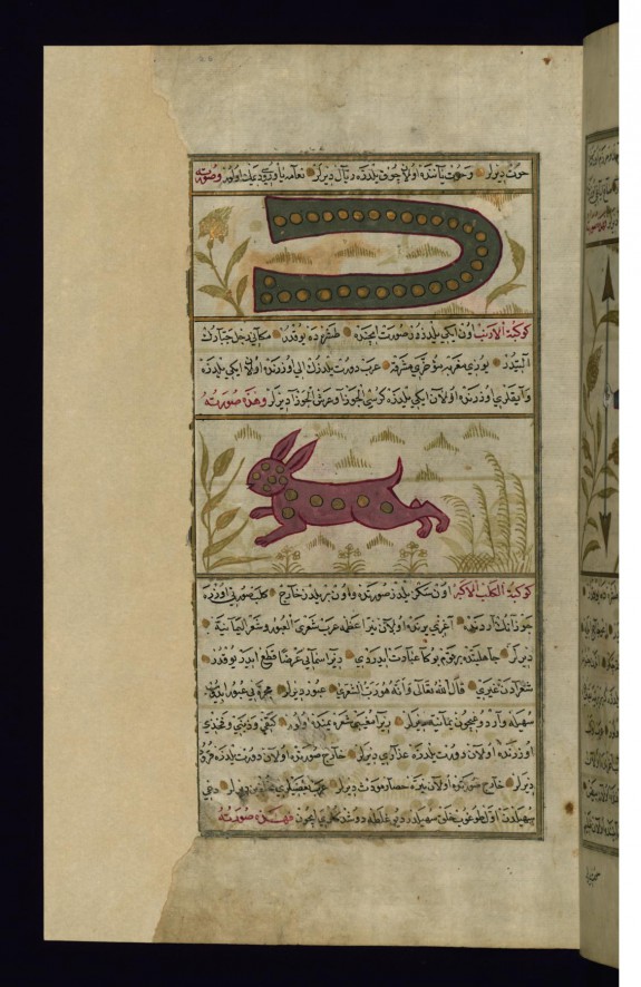 Eridanus and Lepus