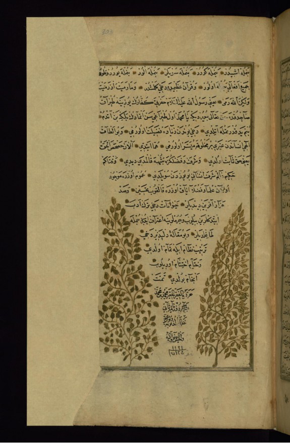Colophon