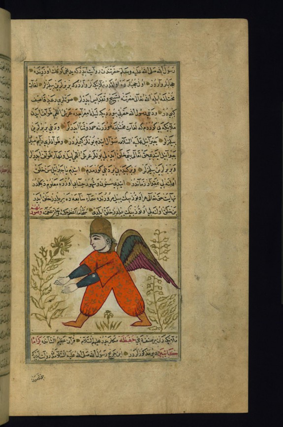The Angel Rawya'il