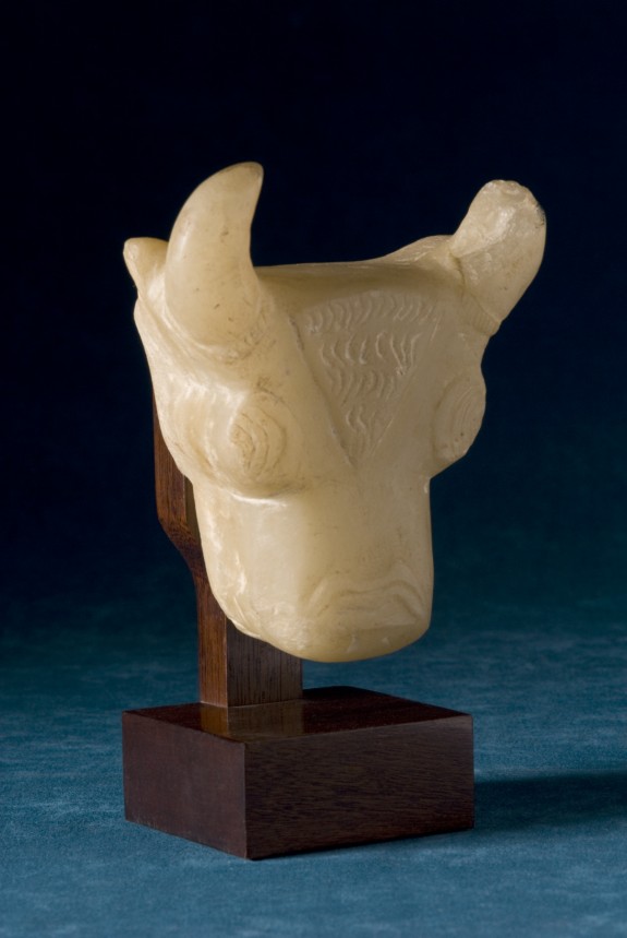 Bull's Head Protoma