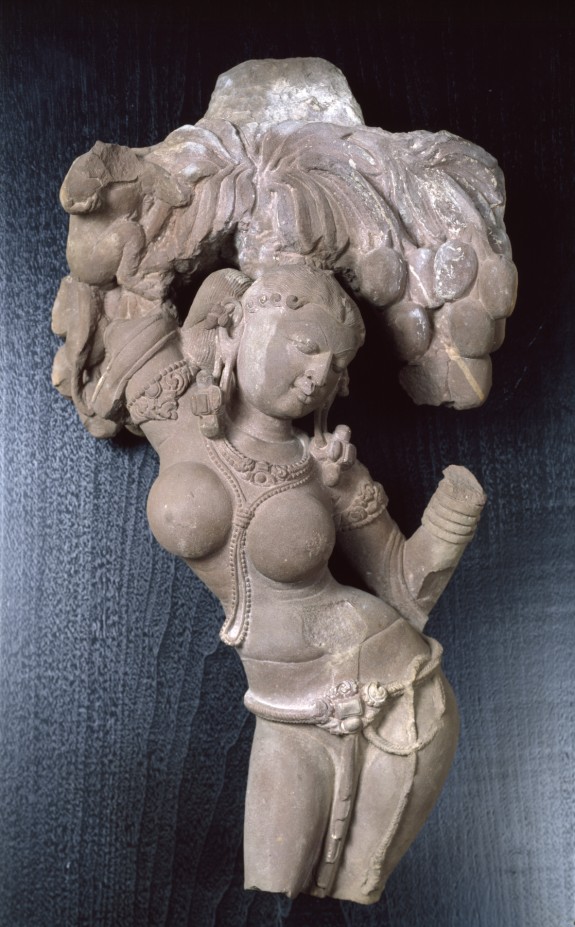 A Maiden, a Monkey, and the Mango Tree