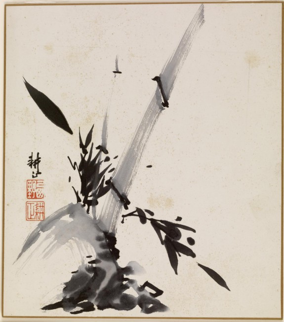 Bamboo