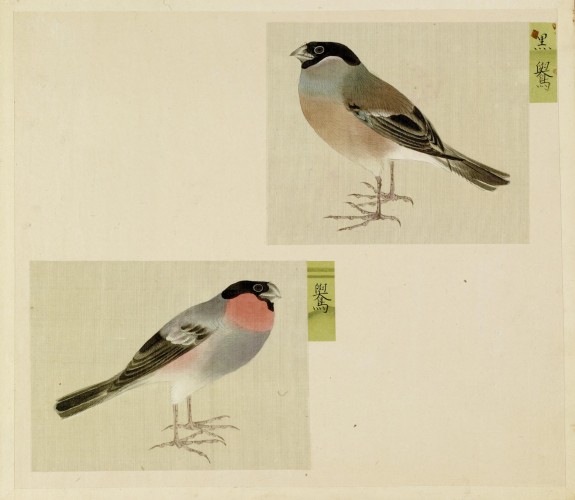 Leaf from Album Depicting Small Birds