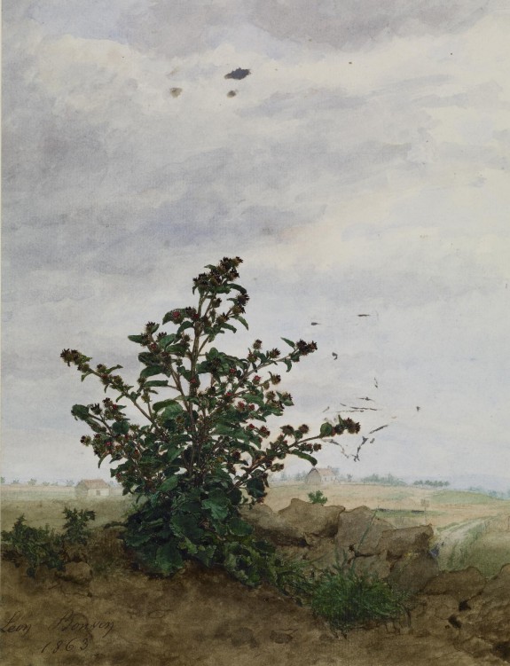 Thistle Bush with Farm