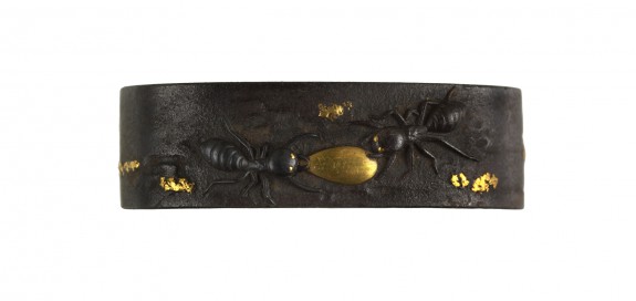 Fuchi with Ants