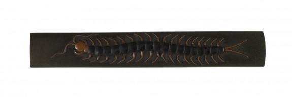 Kozuka with a Centipede