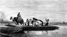 Ferry Horses