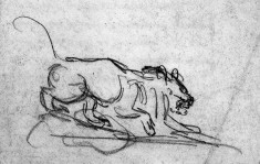 Studies of a Lion's Head and Paw, an Owl, Etc.