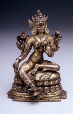 Tara