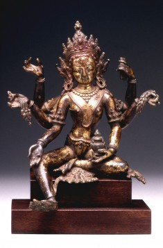 Vasudhara