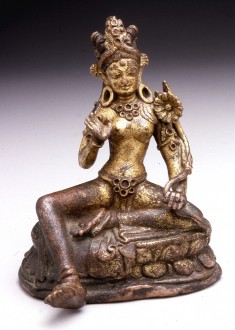Tara