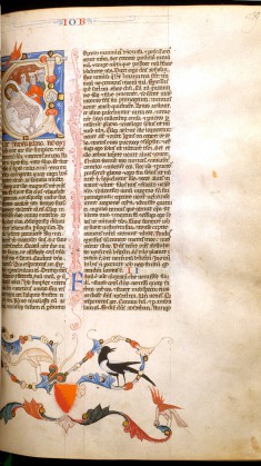 Leaf from Bentivoglio Bible