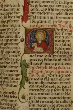 Leaf from Breviary