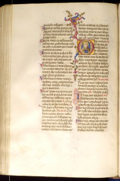Leaf from Breviary