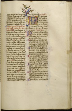 Leaf from Breviary