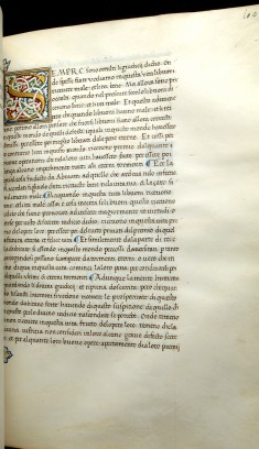 Leaf from Moralia in Job