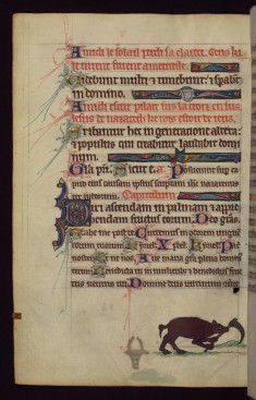 Boar digging a grave, from a marginal cycle of images of the funeral of Renard the Fox