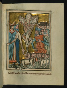 The Eighth Plague: Locusts (Exodus 10:12-15)