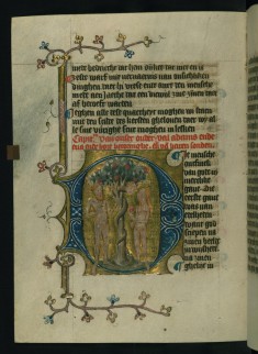 Fall of Adam and Eve