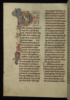 Initial "P" (Paulus Apostolus)