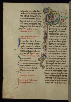 Initial "P" (Paulus Apostolus)