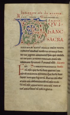 Monogram with a lion breathing on two cubs