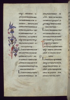 Marginal Bird