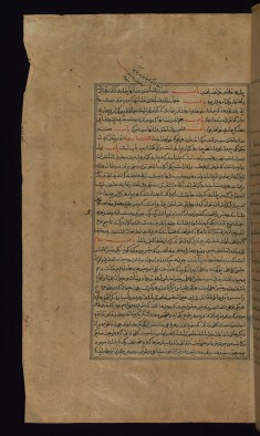 Leaf from Compendium of Medicine