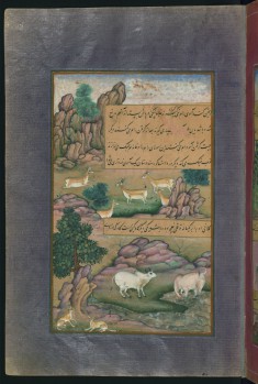 Animals of Hindustan: Small Deer and Cows Called Gini