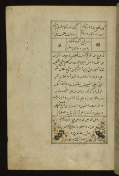 Colophon