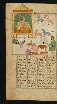 A Jackal in the Company of Other Animals and Birds