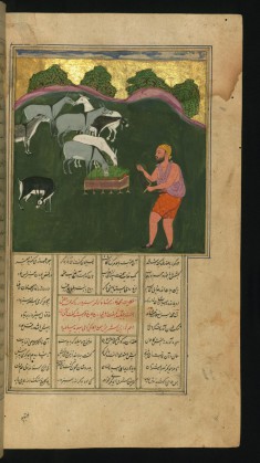 An Unhappy Deer in the Company of Donkeys