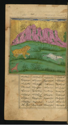 A Sick Lion, Inspired by a Clever Fox, Hunts a Donkey for its Brain to Cure his Disease
