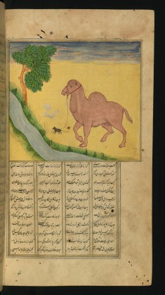 A Mouse, Clutching the Reins of a Camel, at a Stream of Water