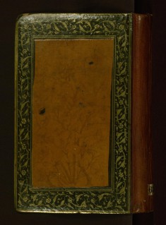 Collection of Poems (Divan)