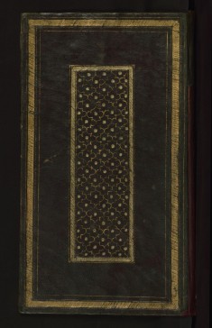 Collection of Poems (Divan)