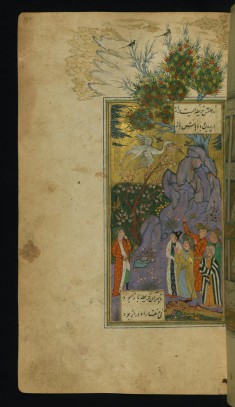 Men Watching Herons in Flight