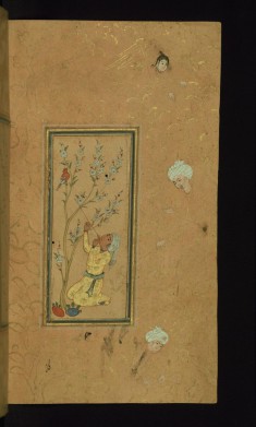 Young Man Playing Flute with Singing Bird Perched in a Blossoming Tree