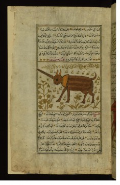 An Animal with One Horn (Name Illegible)