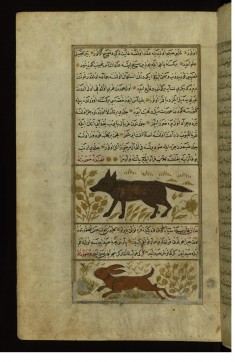 A Hyena and a Lynx